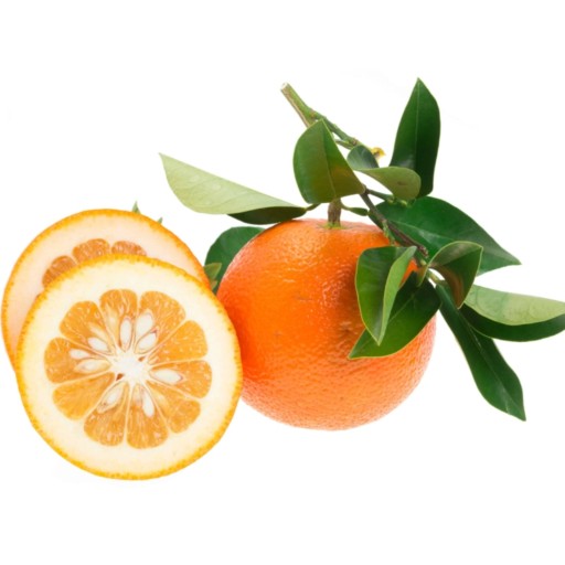  عکس نارنج